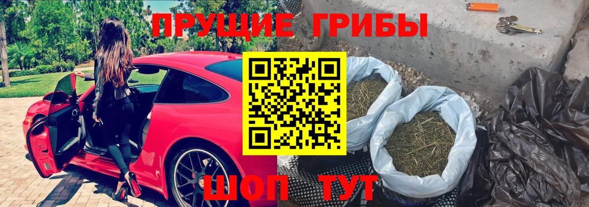 цены   Галлюциногенные грибы Psilocybe  Псилоцибиновые грибы Psilocybe  Вход с VPN  Орёл 