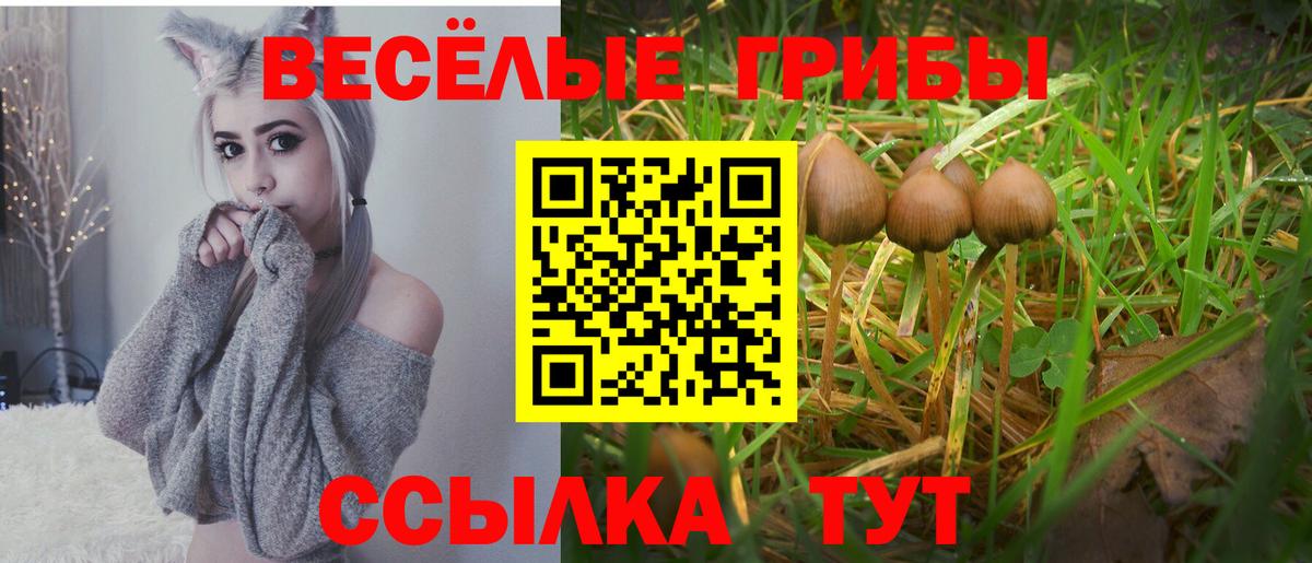 ГАШ  Вход с VPN  Орёл  Меф МЯУ МЯУ   АМФЕТАМИН   Лсд 25  Бошки Шишки  Кокаин 