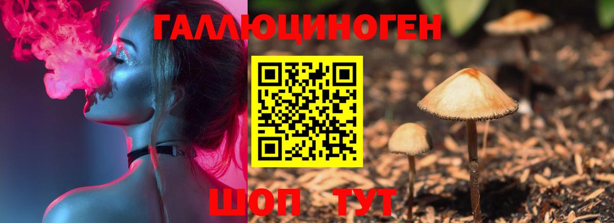 Псилоцибиновые грибы мухоморы Орёл